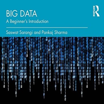 Big Data A Beginner's Introduction [Audiobook]