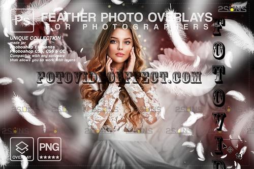 White Feather photo overlays png V3 - 1998034