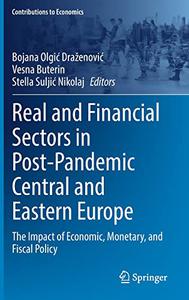 Real and Financial Sectors in Post-Pandemic Central and Eastern Europe The Impact of Economic, Monetary, and Fiscal Policy