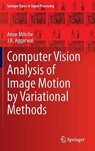 Computer Vision Analysis of Image Motion by Variational Methods