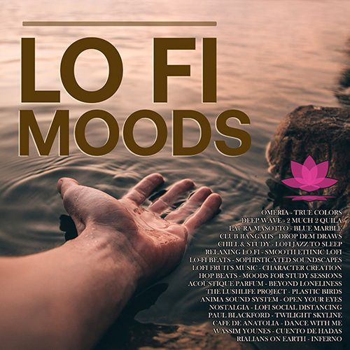 Lo-Fi Moods (2022) Mp3