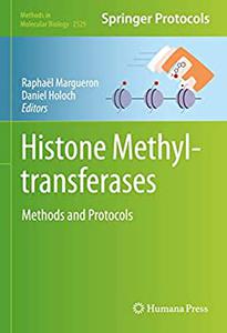 Histone Methyltransferases