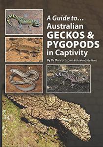 Australian Geckos and Pygopods In Captivity