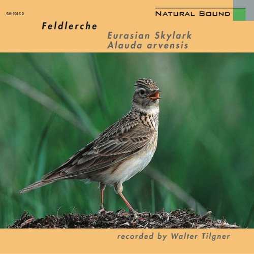 Walter Tilgner - Natural Sound Feldlerche - 2019