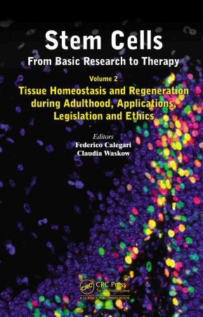 Stem Cells From Basic Research to Therapy, Volume Two