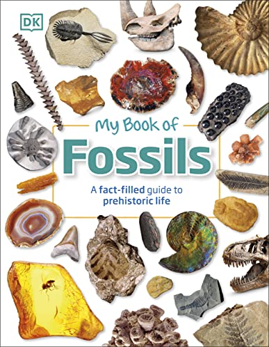 My Book of Fossils: A fact filled guide to prehistoric life (True EPUB)