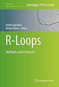 R Loops: Methods and Protocols