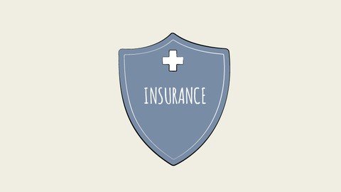 Udemy - Insurance Industry 101