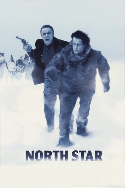 North Star 1996 DVDRip XViD