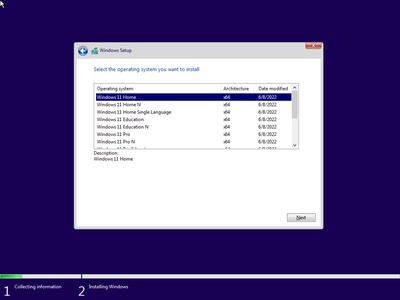 Windows 11 21H2 Build 22000.739 AIO 13in1 (No TPM Required) With Office 2021 Pro Plus Preactivated (x64)