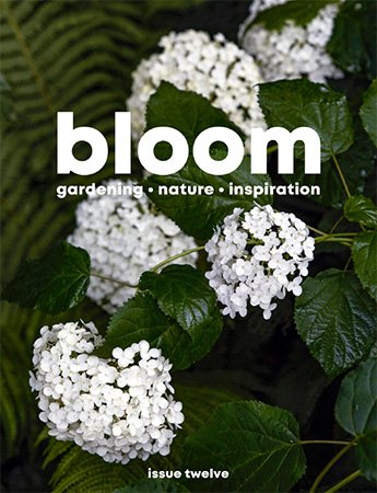 Bloom   Issue 12, 2022