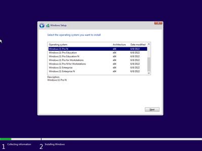 Windows 11 21H2 Build 22000.739 AIO 13in1 (No TPM Required) Preactivated (x64)