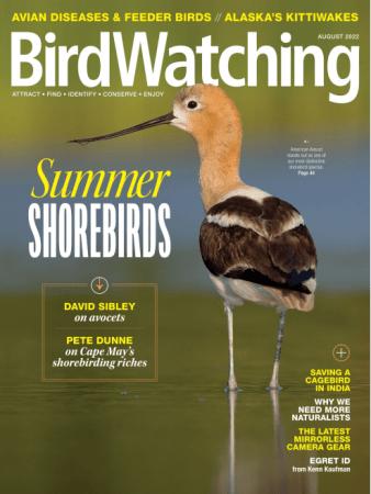 BirdWatching USA   August 2022