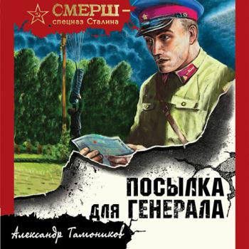 постер к Тамоников Александр - Посылка для генерала (Аудиокнига)