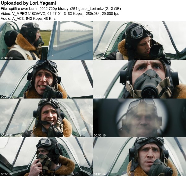 Spitfire Over Berlin (2022) 720p BluRay x264-GAZER