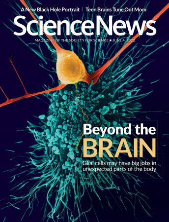 Science News   04 June 2022