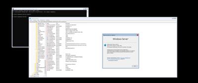 Windows Server, Version 20H2 Build 19042.1766 (x64)
