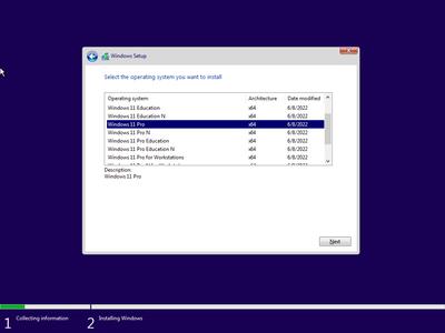 Windows 11 21H2 Build 22000.739 AIO 13in1 (No TPM Required) With Office 2021 Pro Plus Preactivated (x64)