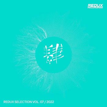 VA - Redux Selection, Vol.7 / 2022 (MP3)