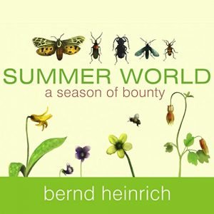 Summer World: A Season of Bounty [Audiobook]