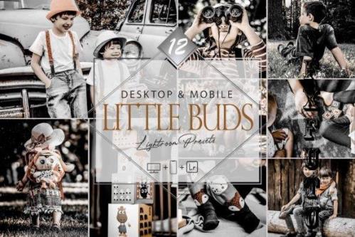 12 Little Buds Lightroom Presets, Moody