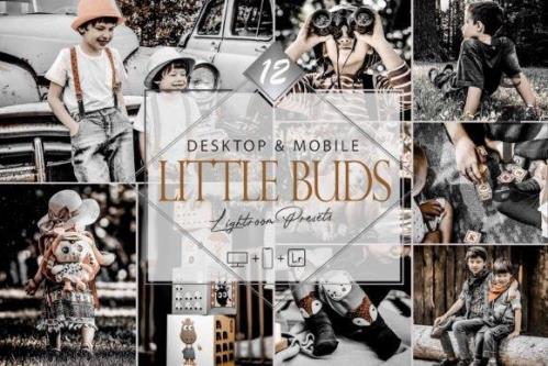 12 Little Buds Lightroom Presets, Moody 12 Little Buds Lightroom Presets, Moody