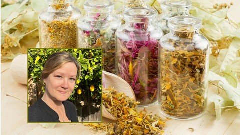 Udemy - Practical Herbalism