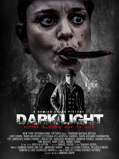 Dark Light (2021) 1080p WEBRip x264-RARBG