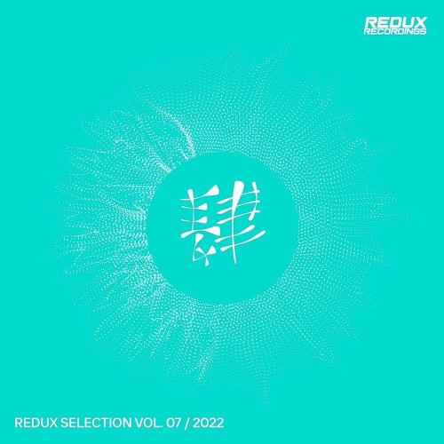 VA - Redux Selection, Vol.7 / 2022 (MP3)