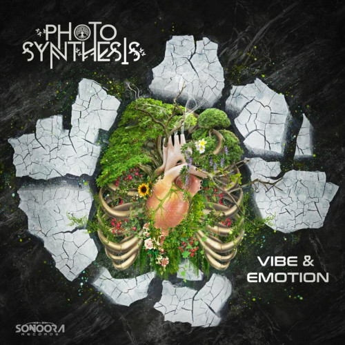 Photosynthesis - Vibe & Emotion (2022)