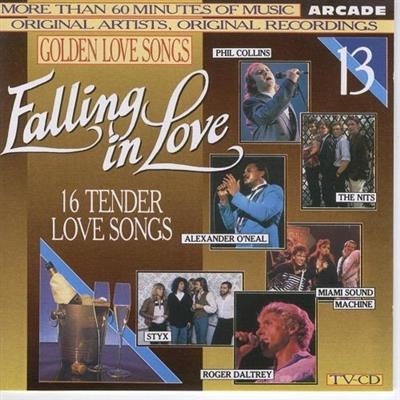 VA   Golden Love Songs Volume 13   Falling In Love (16 Tender Love Songs) (1989) MP3
