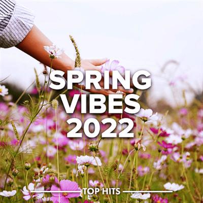 VA   Spring Vibes 2022 (2022) MP3