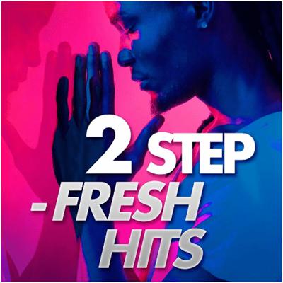 VA – 2 Step – Fresh Hits (2022)