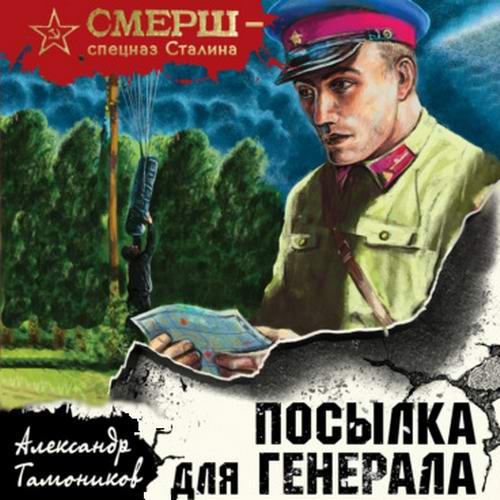 Александр Тамоников - Посылка для генерала (аудиокнига)