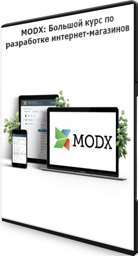 MODX: Большой курс по разработке интернет-магазинов (2022) PCRec 