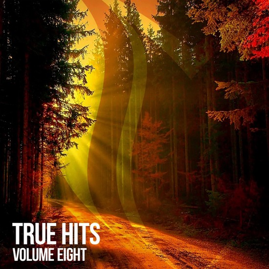 VA - True Hits Vol. 8