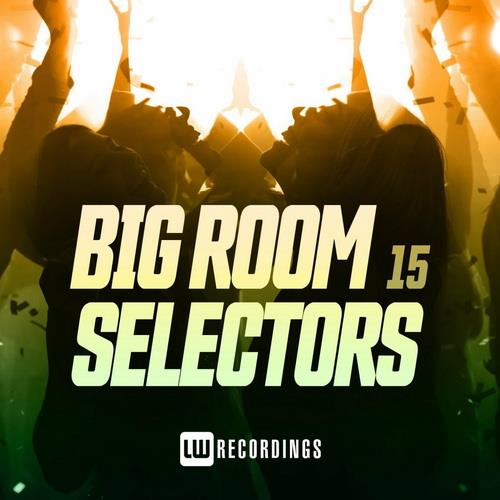 Big Room Selectors 15 (2022)