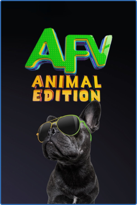 Americas Funniest Home Videos Animal Edition S01E11 720p WEB H264-BRAVERY