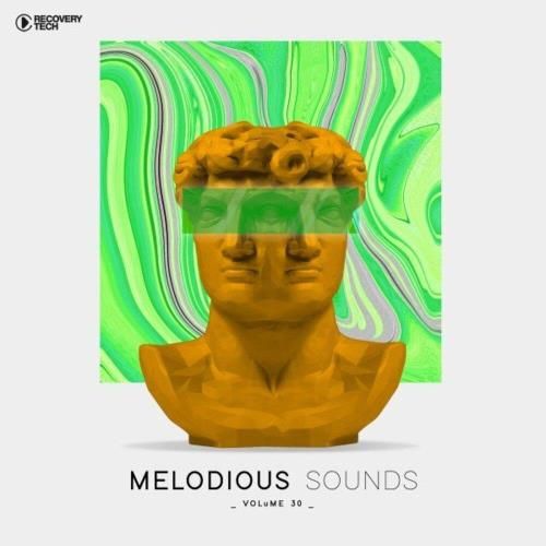 VA - Melodious Sounds Vol 30 (2022) (MP3)