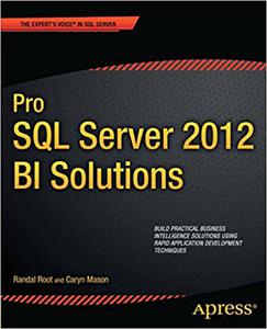 Pro SQL Server 2012 BI Solutions 