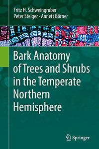 Bark Anatomy of Trees and Shrubs in the Temperate Northern Hemisphere 