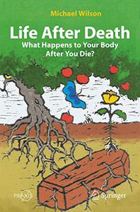 Life After Death What Happens to Your Body After You Die