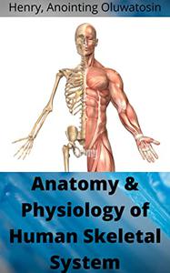 Anatomy & Physiology of the Human Skeletal System Structure, function, and classification of bones