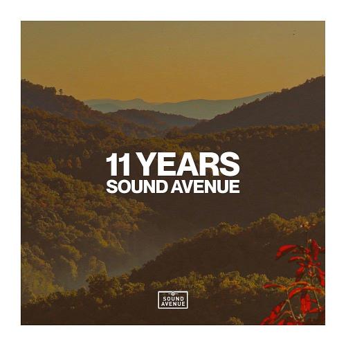 VA - 11 Years Sound Avenue (2022) (MP3)