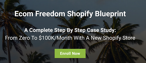 Dan Vas – Ecom Freedom Shopify Blueprint 2022