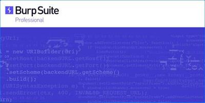 Burp Suite Professional 2022.6.1
