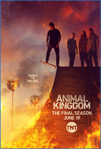 Animal Kingdom 2016 S06E05 Covet 1080p AMZN WEB-DL DDP5 1 H 264-KiNGS