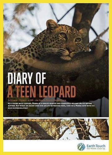 Дневник юного леопарда / Diary of A Teen Leopard (2020) HDTVRip 720p