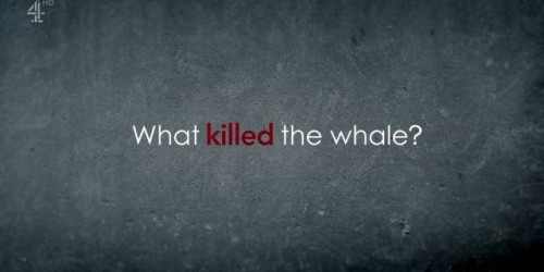 Channel 4 - What Killed the Whale (2022)
