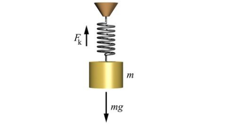 Physics - Periodic Motion - High School And Ap Physics